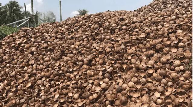 Coconut Shell Charcoal Coconut Shell Charcoal